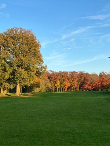 Clubkampioenschappen Foursome tegen de baan.